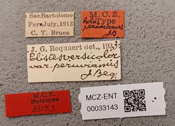 Media type: image;   Entomology 33143 Aspect: labels